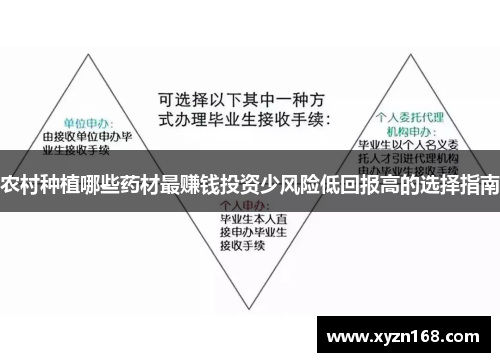 农村种植哪些药材最赚钱投资少风险低回报高的选择指南