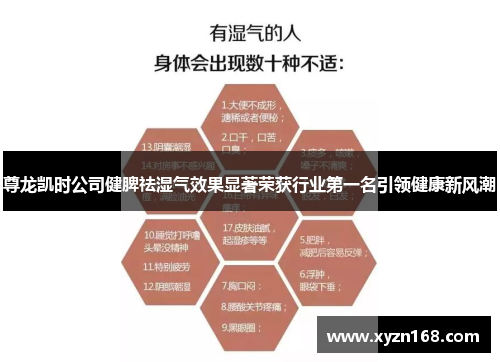 尊龙凯时公司健脾祛湿气效果显著荣获行业第一名引领健康新风潮